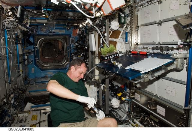 NASA image: Creamer closes out APEX-CSA2 Experiment