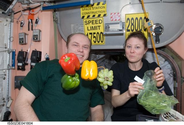 NASA image: Kotov and Dyson in Node 1