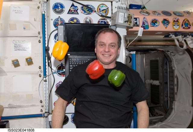NASA image: Creamer with Vegetables in Node 1