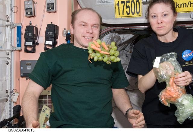 NASA image: Kotov and Dyson with Fruit and Vegetables in Node 1