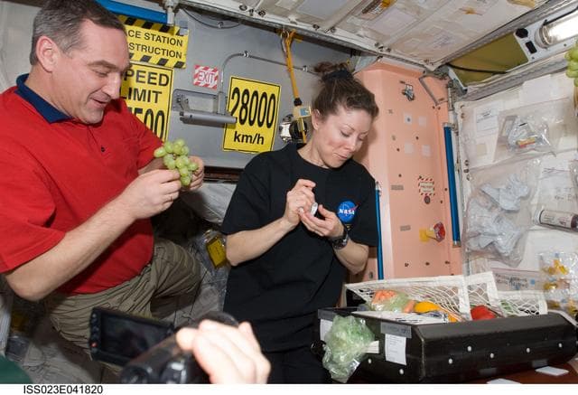 NASA image: Skvortsov and Dyson with Fruit and Vegetables in Node 1