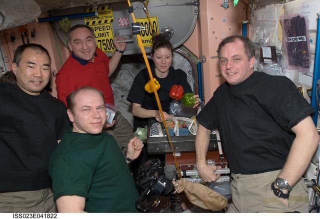 NASA image: Expedition 23 Crewmembers with Fruit and Vegetables in Node 1