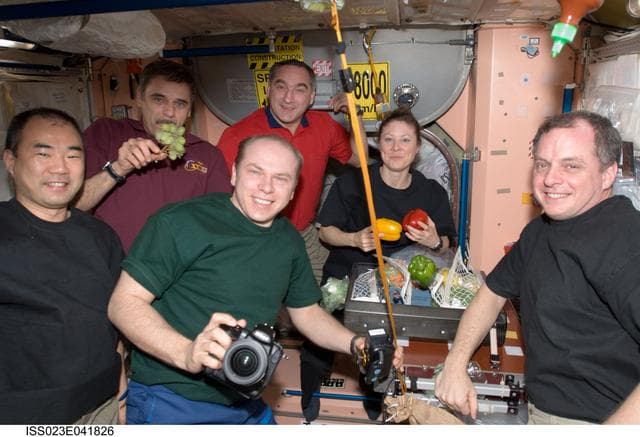 NASA image: Expedition 23 Crewmembers with Fruit and Vegetables in Node 1