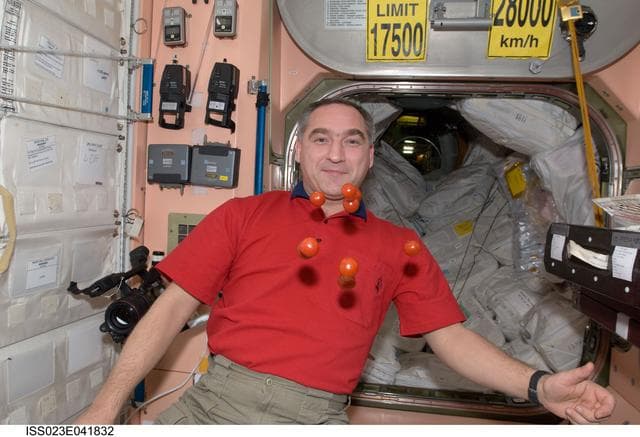 NASA image: Skvortsov with Tomatoes in Node 1