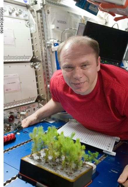 NASA image: Kotov with APEX-CSA2 Experiment Seedlings