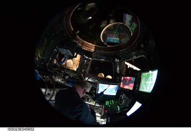 NASA image: Reisman in Cupola during MRM1 Mating to FGB