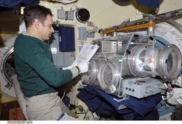 NASA image: Kornienko conducts BTKh-26/Kaskad (Cascade) Experiment