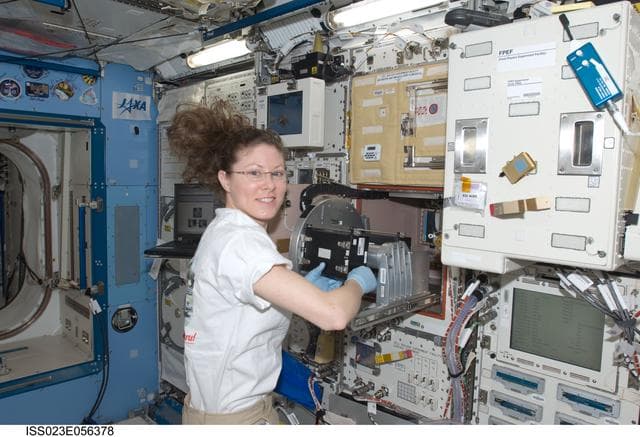 NASA image: Dyson conducts Ferulate Experiment Operations in Kibo