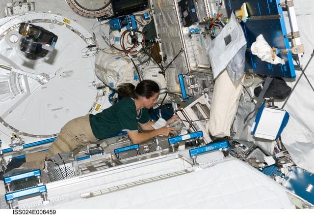 NASA image: Walker in JEM