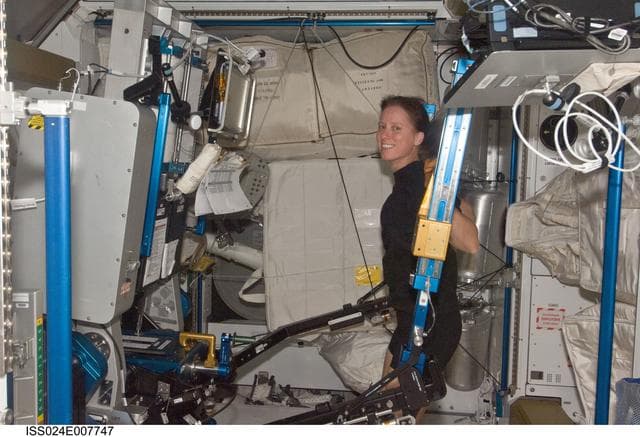 NASA image: FE Walker exercises on the ARED in the Node 3