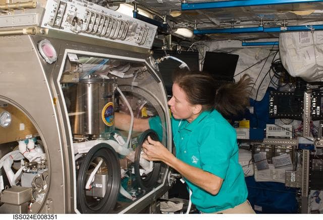NASA image: MSG SAME Experiment