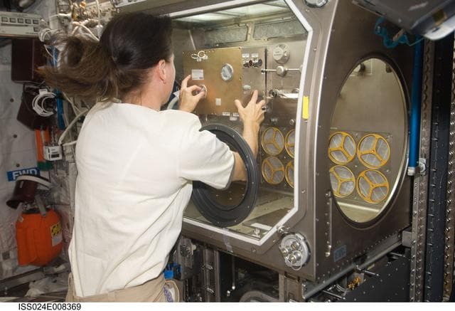 NASA image: MSG SAME Experiment