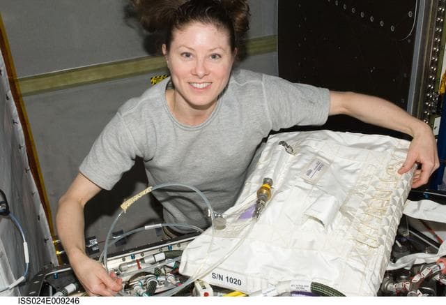 NASA image: OGS Maintenance