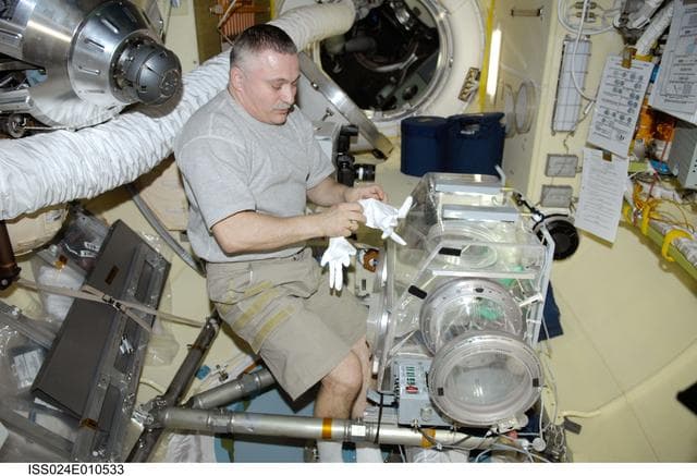 NASA image: ASEPTIC (BTKh-39) Experiment