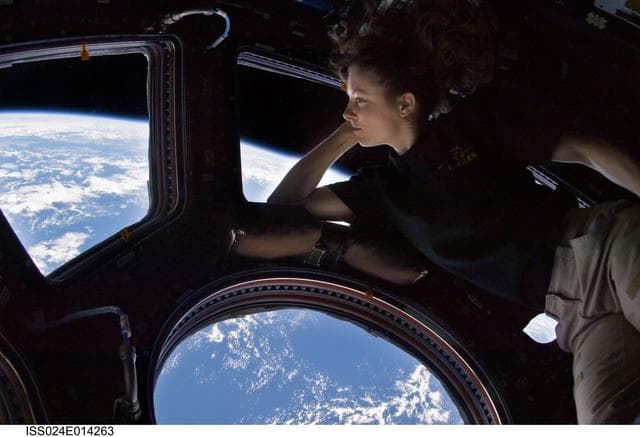 NASA image: FE Caldwell-Dyson looks through a Cupola Window