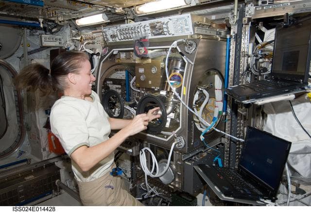 NASA image: Dismantling/Closeout of SAME