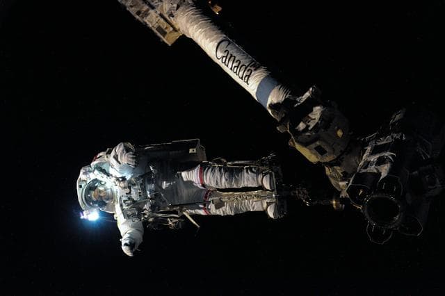 NASA image: View of FE Wheelock during EVA-16