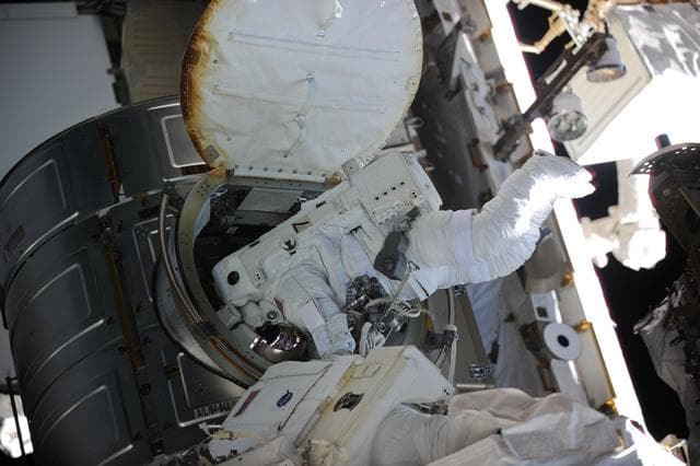 NASA image: View of FE Caldwell-Dyson and Wheelock during EVA-17