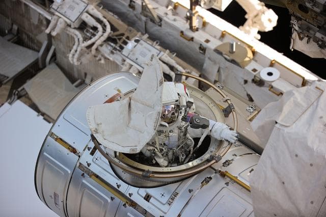 NASA image: View of FE Wheelock during EVA-17