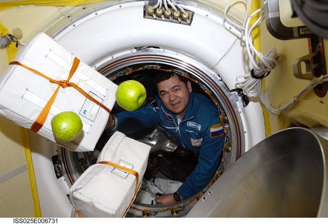 NASA image: Skripochka unpacking items