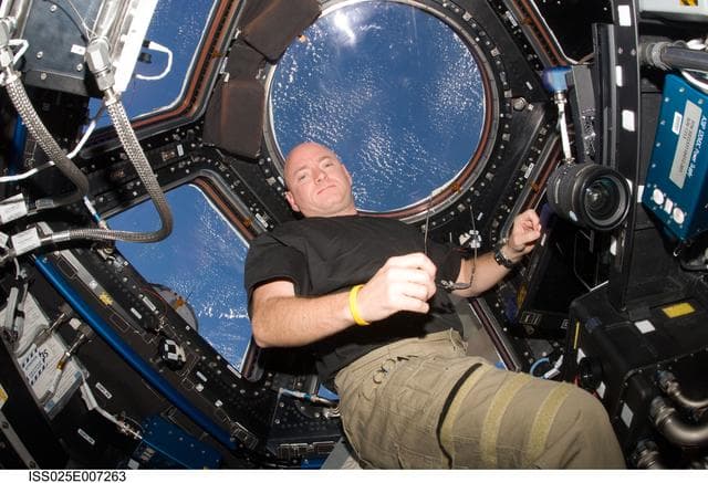 NASA image: Kelly in Cupola