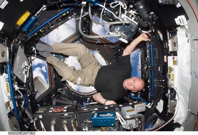 NASA image: Kelly in Cupola