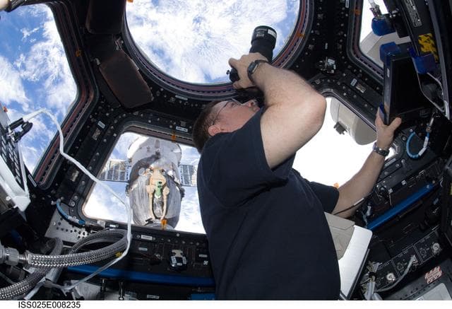 NASA image: Wheelock in Cupola