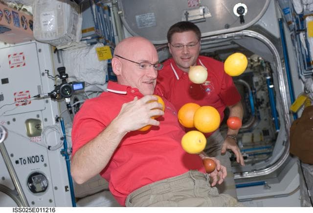 NASA image: Kelly in Node 1 with fruit