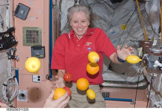 NASA image: Walker in Node 1 with fruit