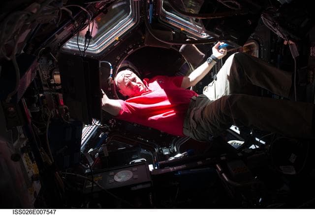 NASA image: Kelly in the Cupola Module during Expedition 26