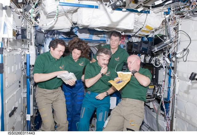 NASA image: Expedition 26 Crewmembers in U.S. Laboratory