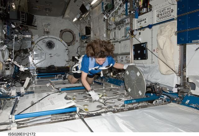 NASA image: Coleman at MELFI in the JPM