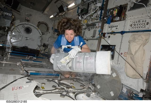 NASA image: Coleman at MELFI in the JPM