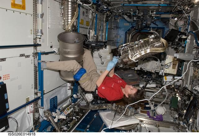 NASA image: Coleman installs new furnace in the MSL - U.S. Laboratory during Expedition 26