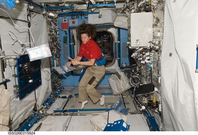NASA image: Coleman during ICV Assessment in the Kibo JPM during Expedition 26