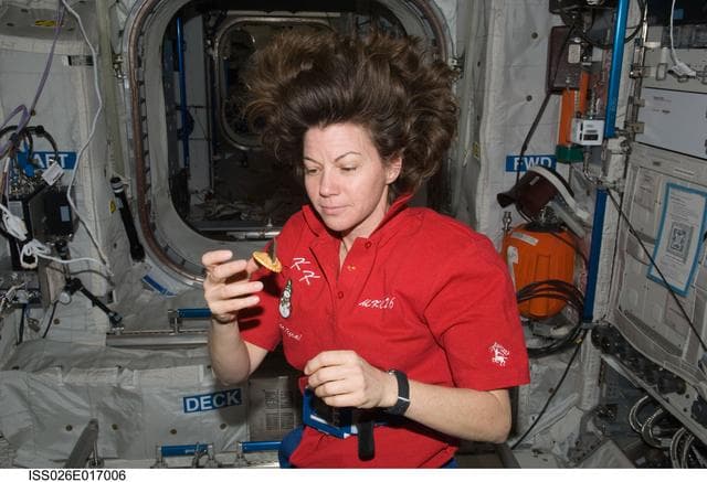 NASA image: Coleman in the Columbus Module during Expedition 26