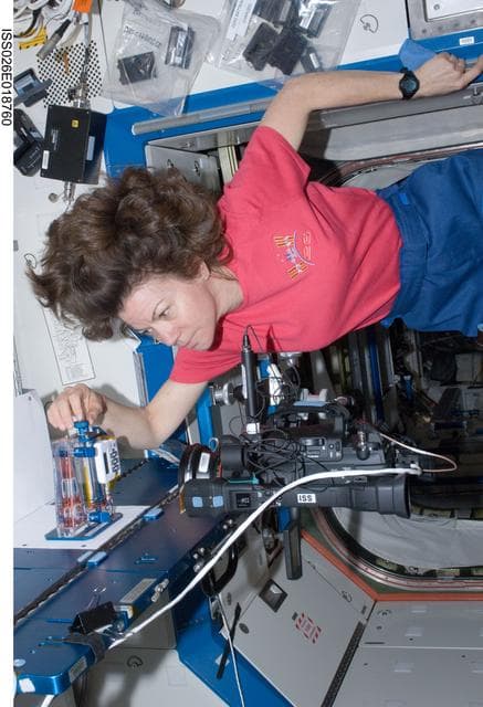 NASA image: Coleman performs a CFE ICF-2 Test