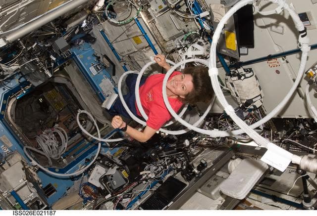 NASA image: Coleman in the U.S. Laboratory during Expedition 26