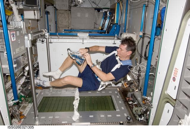 NASA image: Nespoli prepares to exercise on the COLBERT