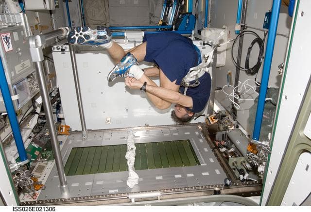 NASA image: Nespoli prepares to exercise on the COLBERT.