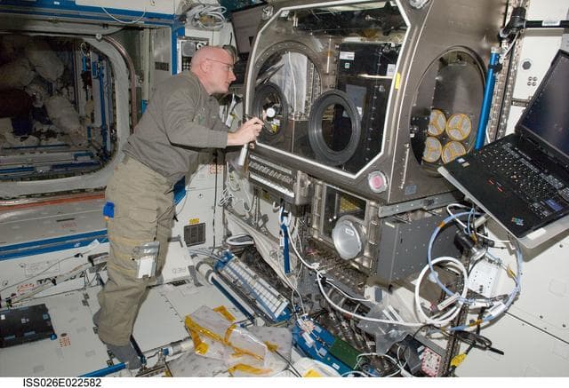 NASA image: Kelly works on the MSG