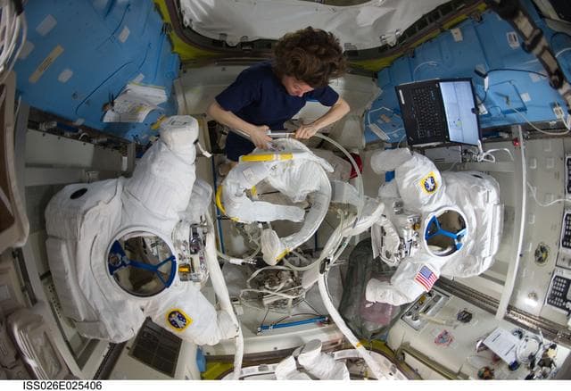 NASA image: Coleman works with EMU in the A/L