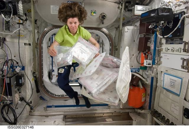 NASA image: Coleman unpacks CTB in the Columbus Module