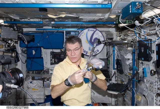 NASA image: Nespoli works with Arabidopsis Seeds in the Columbus Module