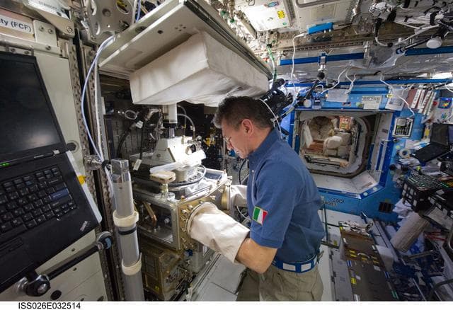 NASA image: Nespoli works with the LMM