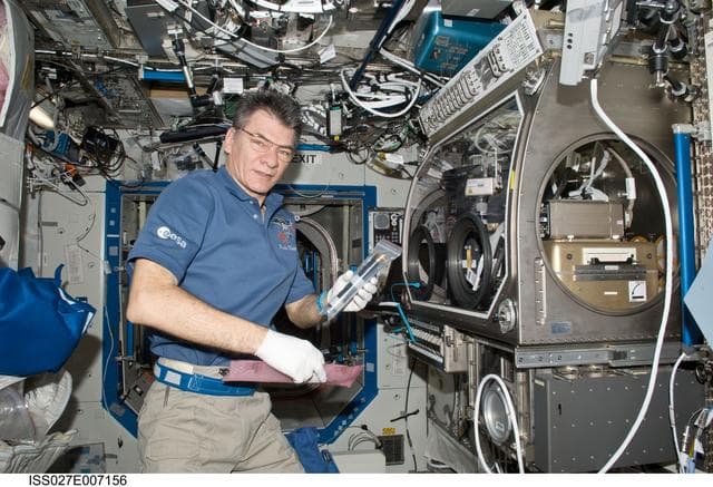 NASA image: Nespoli works with BXF Hardware in the US Lab
