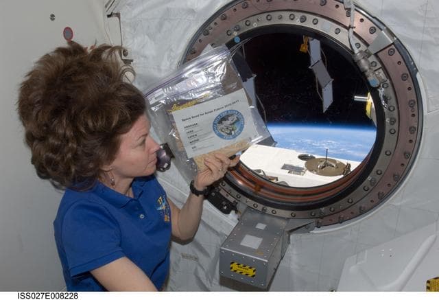 NASA image: Coleman with Asian Seed Package in Kibo