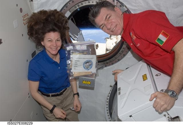 NASA image: Coleman and Nespoli with Asian Seed Package in Kibo