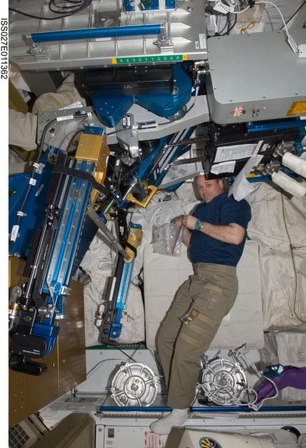 NASA image: Garan works on the ARED in Node 3