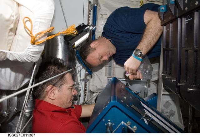 NASA image: Nespoli and Garan work on the ARED in Node 3